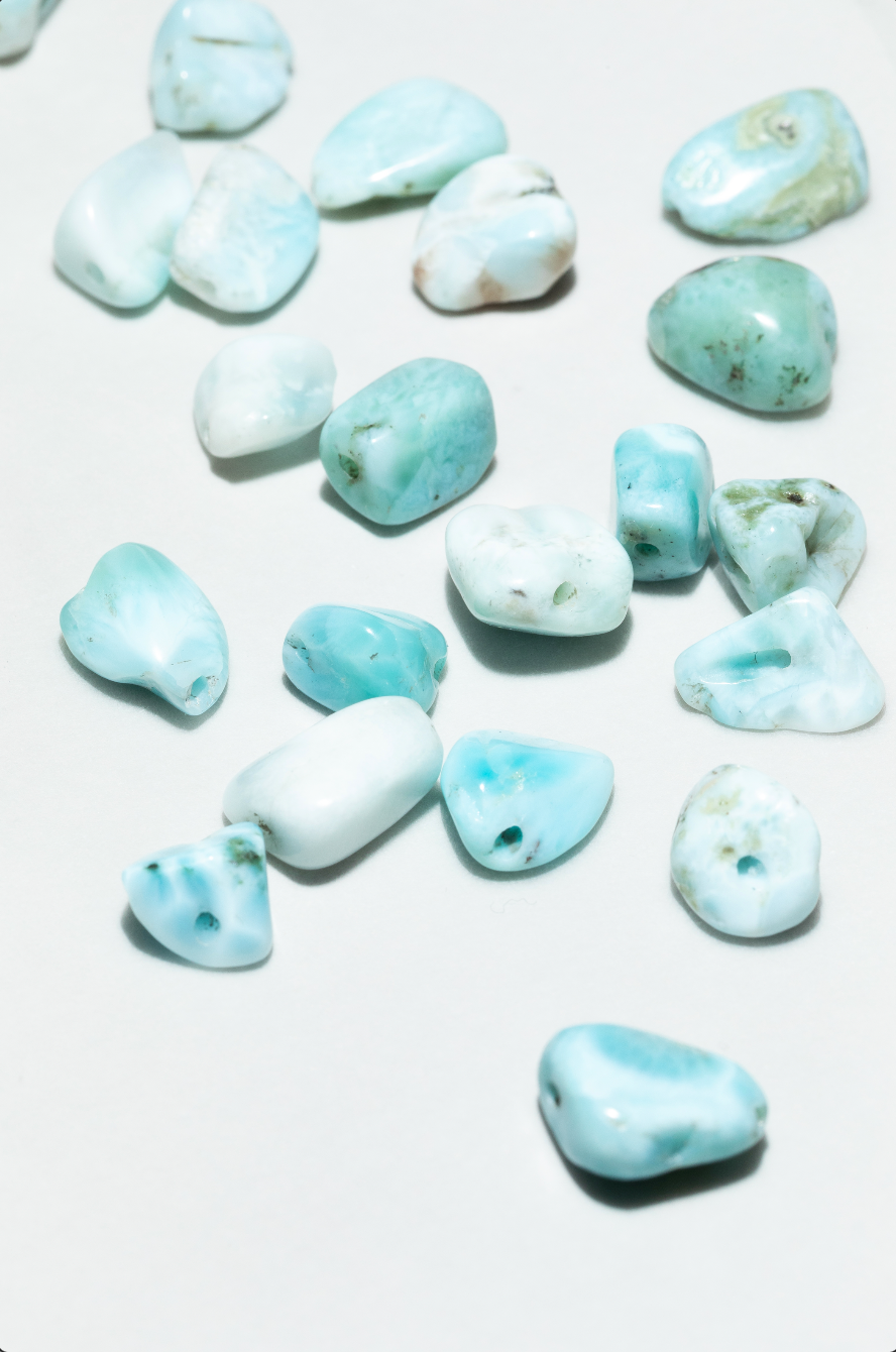 Cowrie Pendant - Larimar