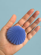 Seashell Jewelry Box