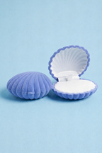 Seashell Jewelry Box