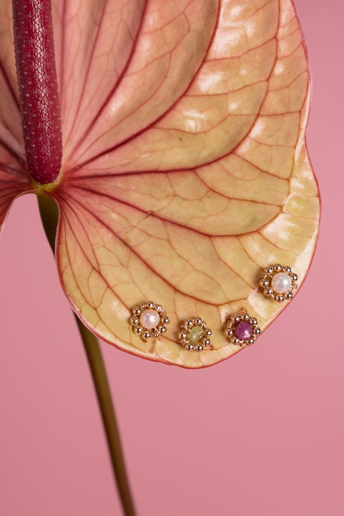 Daisy Chips - Ruby