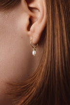 Mini creoles Enlacé - Cultured pearls